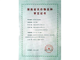 湖南省農(nóng)作物品種審定證書