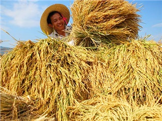 農業(yè)部發(fā)布《農業(yè)植物品種命名規(guī)定》